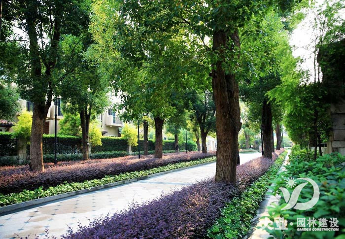 廣州中信香樟別墅