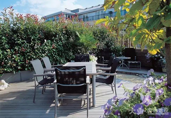 園林綠化養(yǎng)護