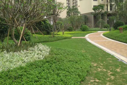 園林綠化設(shè)計(jì)中鋪裝的幾個(gè)表現(xiàn)要素！