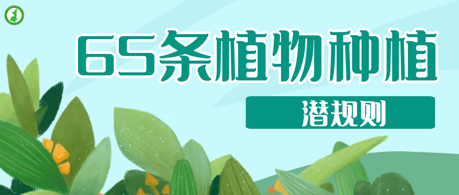 65條植物種植潛規(guī)則，園林人的血淚總結(jié) ！